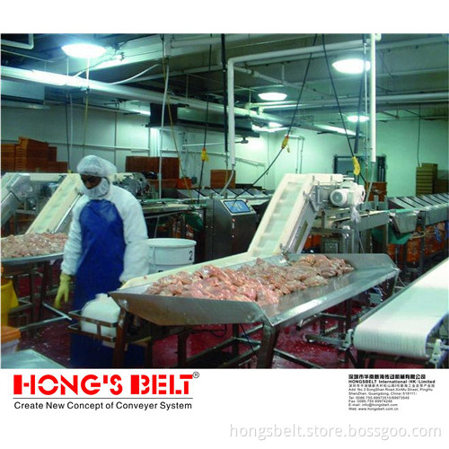 The Meat Industry Smart Modular Conveyor Belt